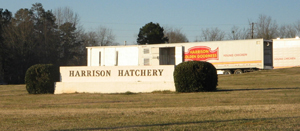 harrison hatchery